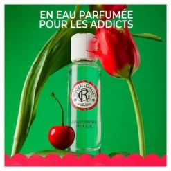 Roger et Gallet Gingembre rouge Lait corps bienfaisant