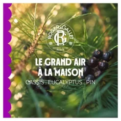 Roger et Gallet parfum d'intérieur