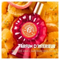 Roger et Gallet parfum d'intérieur