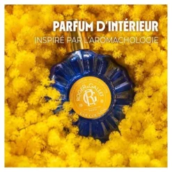 Roger et Gallet parfum d'intérieur