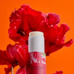 Roger et Gallet Parfum solide Gingembre rouge stick