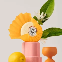 Roger et Gallet savon parfumé Bois d'Orange