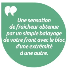 Salva macaron menthol migraine en bois