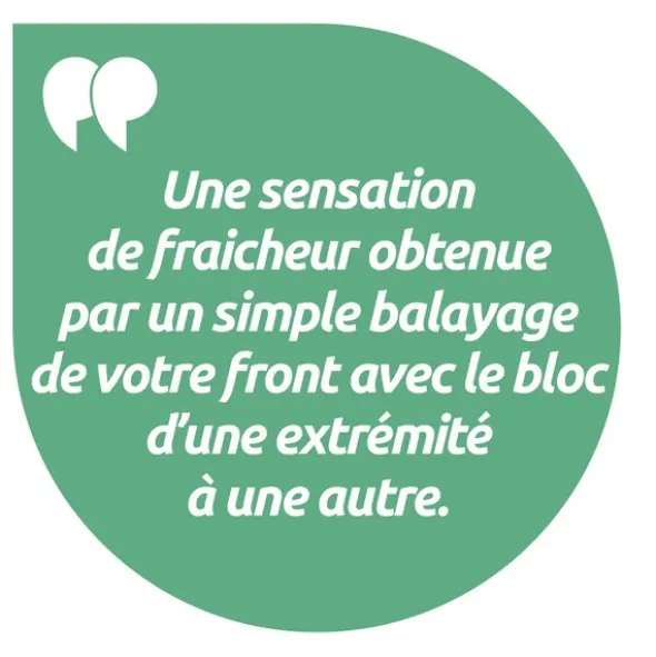 Salva macaron menthol migraine en bois