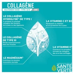 Santé Verte Collagène 10 g stick