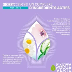 Santé Verte DigestConfort Antiacid comprimés