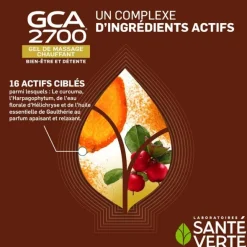 Santé Verte GCA 2700 gel de massage chauffant