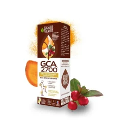 Santé Verte GCA 2700 gel de massage chauffant