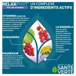 Santé Verte Relaxphyt pic de stress sticks