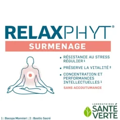 Santé Verte Relaxphyt Surmenage comprimés