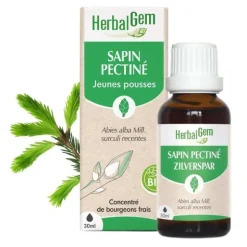 Sapin pectiné Extrait de bourgeons bio