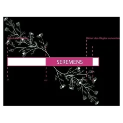 Seremens Règles douloureuses comprimés