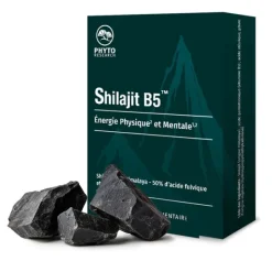 Shilajit B5 gélules