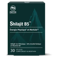 Shilajit B5 gélules