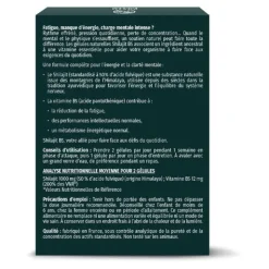 Shilajit B5 gélules