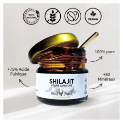 Shilajit Résine pure
