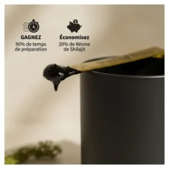Shilajit Résine pure