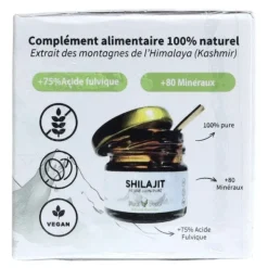 Shilajit Résine pure