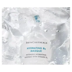 SkinCeuticals Hydrating B5 Masque