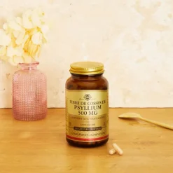 Solgar Fibres de cosses de Psyllium 500 mg gélules