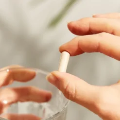 Solgar Fibres de cosses de Psyllium 500 mg gélules