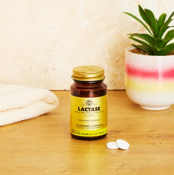Solgar Lactase comprimés à croquer