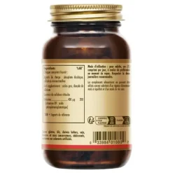 Solgar vitamine B9 400 µg comprimés