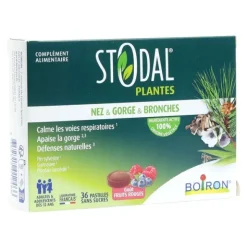 Stodal Plantes Nez gorge bronches pastilles fruits rouges