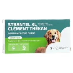 Strantel XL Chien comprimé vermifuge