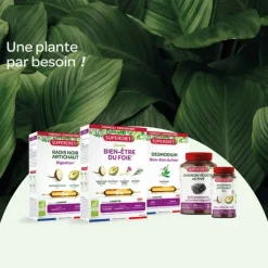 Super Diet Artichaut bio ampoules