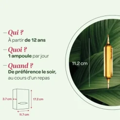 Super Diet Artichaut bio ampoules