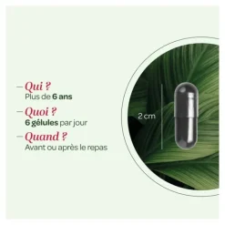 Super Diet Charbon végétal activé gélules