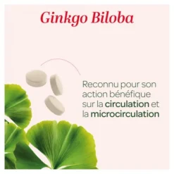 Super Diet ginkgo biloba bio comprimés