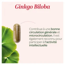 Super Diet Ginkgo Biloba Bio gélules