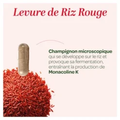 Super Diet levure de riz rouge bio gélules