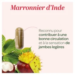 Super Diet Marronnier d'Inde Bio gélules