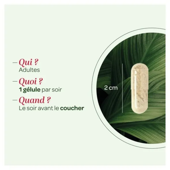 Super Diet mélatonine 1 mg gélules