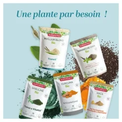 Super Diet psyllium blond Bio tégument