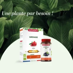 Super Diet Pur jus de Myrtille bio ampoules