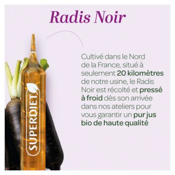 Super Diet Pur jus de Radis noir Bio ampoule