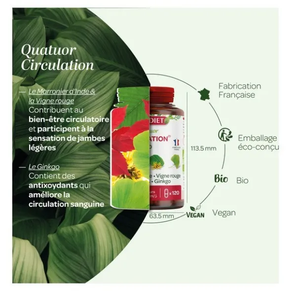 Super Diet Quatuor Circulation Bio gélules
