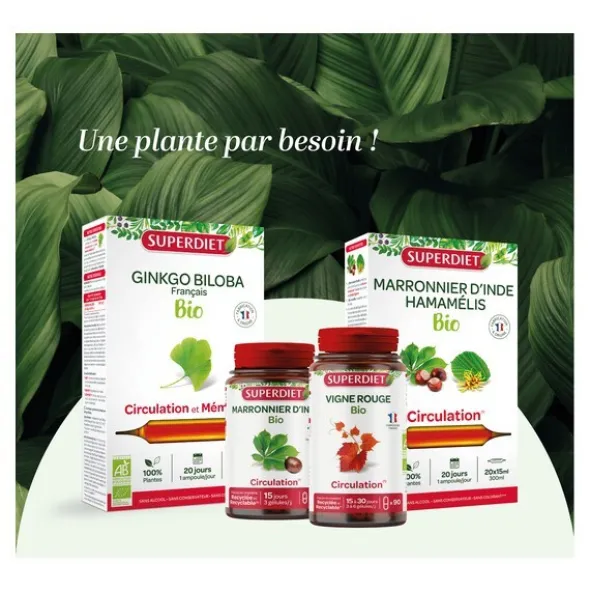 Super Diet Quatuor Circulation Bio gélules