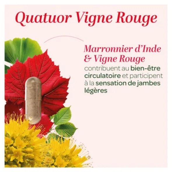 Super Diet Quatuor Circulation Bio gélules