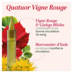 Super Diet Quatuor Circulation Bio unidoses