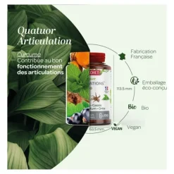 Super Diet Quatuor Curcuma Cassis Harpagophytum et Ortie bio gélules