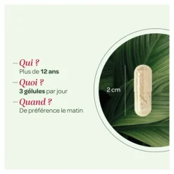 Super Diet Quatuor Curcuma Cassis Harpagophytum et Ortie bio gélules