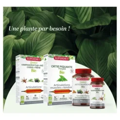 Super Diet Quatuor Curcuma Cassis Harpagophytum et Ortie bio gélules