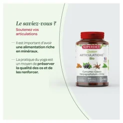 Super Diet Quatuor Curcuma Cassis Harpagophytum et Ortie bio gélules