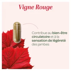 Super Diet Vigne rouge gélules Bio