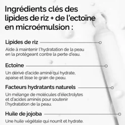 The Ordinary Microémulsion de Lipides de Riz + Ectoïne